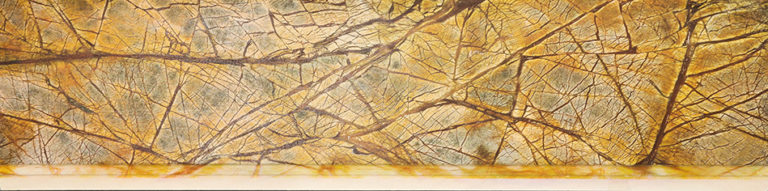 112-RAIN-FOREST-BROWN
