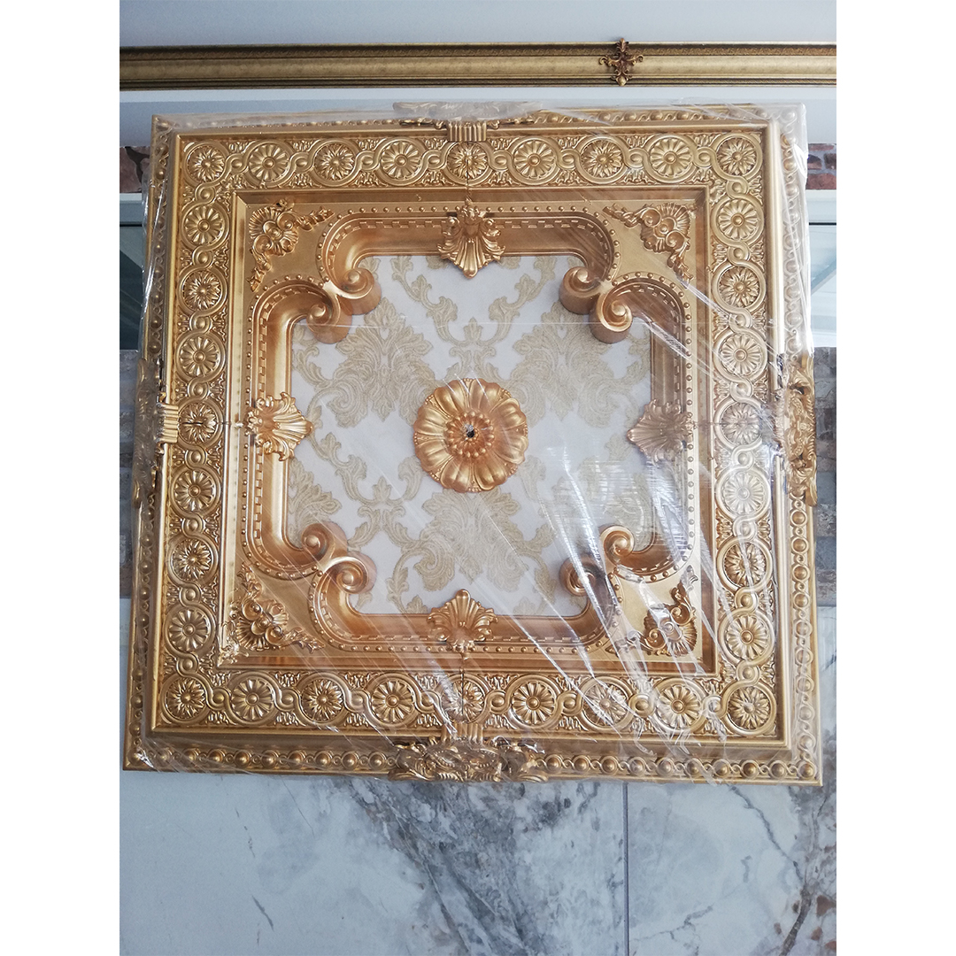 saray-t007