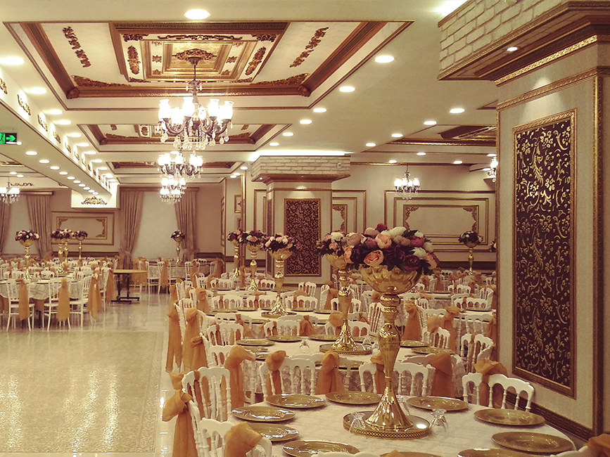 saray-t010