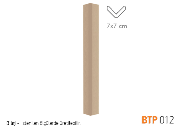 BTP12