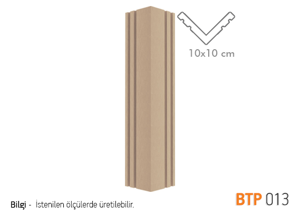 BTP13
