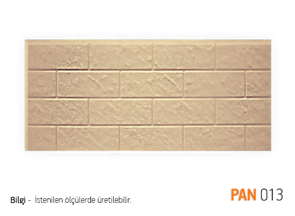 PAN13
