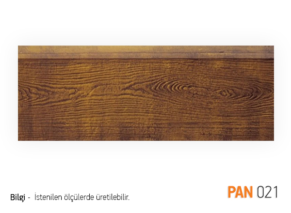 PAN21
