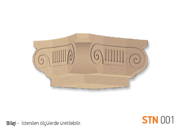 STN1
