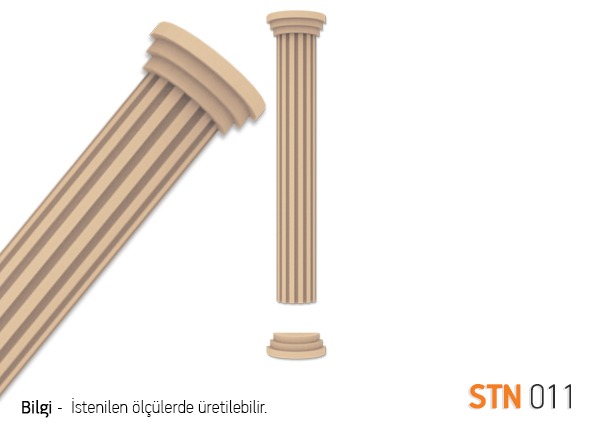 STN11
