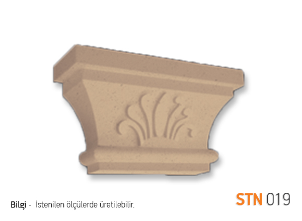STN19