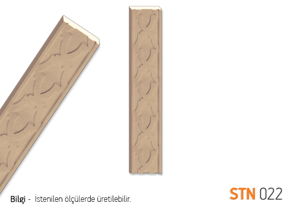 STN22